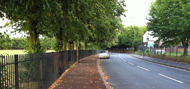 Charlton Park Lane, 2011