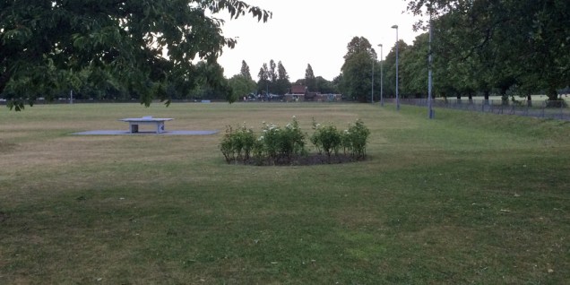 The skate park would be next to the Charlton Park's outdoor gym