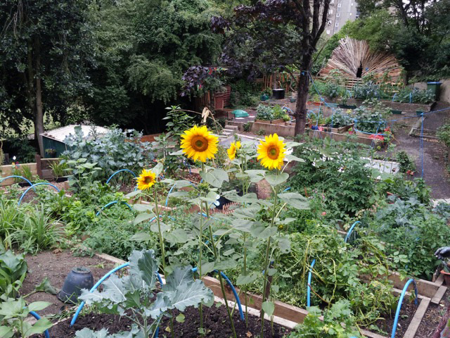 Maryon Park Community Garden