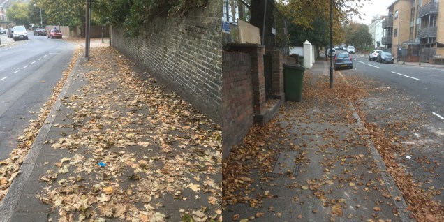 Wellington Gardens (left) and Victoria Way (right), Sunday 30 October