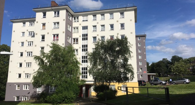 Springfield Grove estate