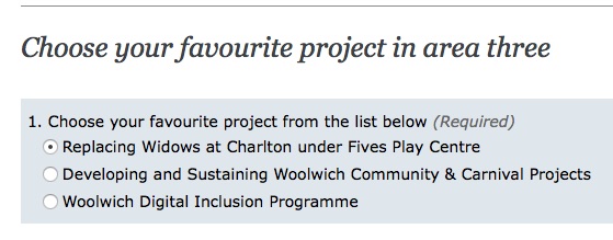 Council website typo