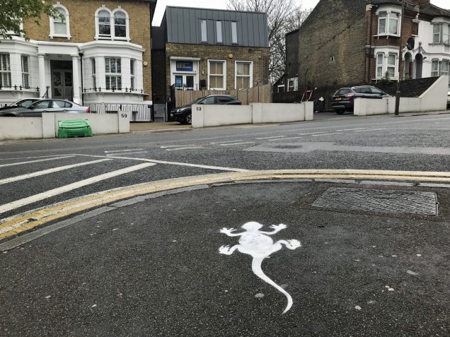Charlton Church Lane lizard