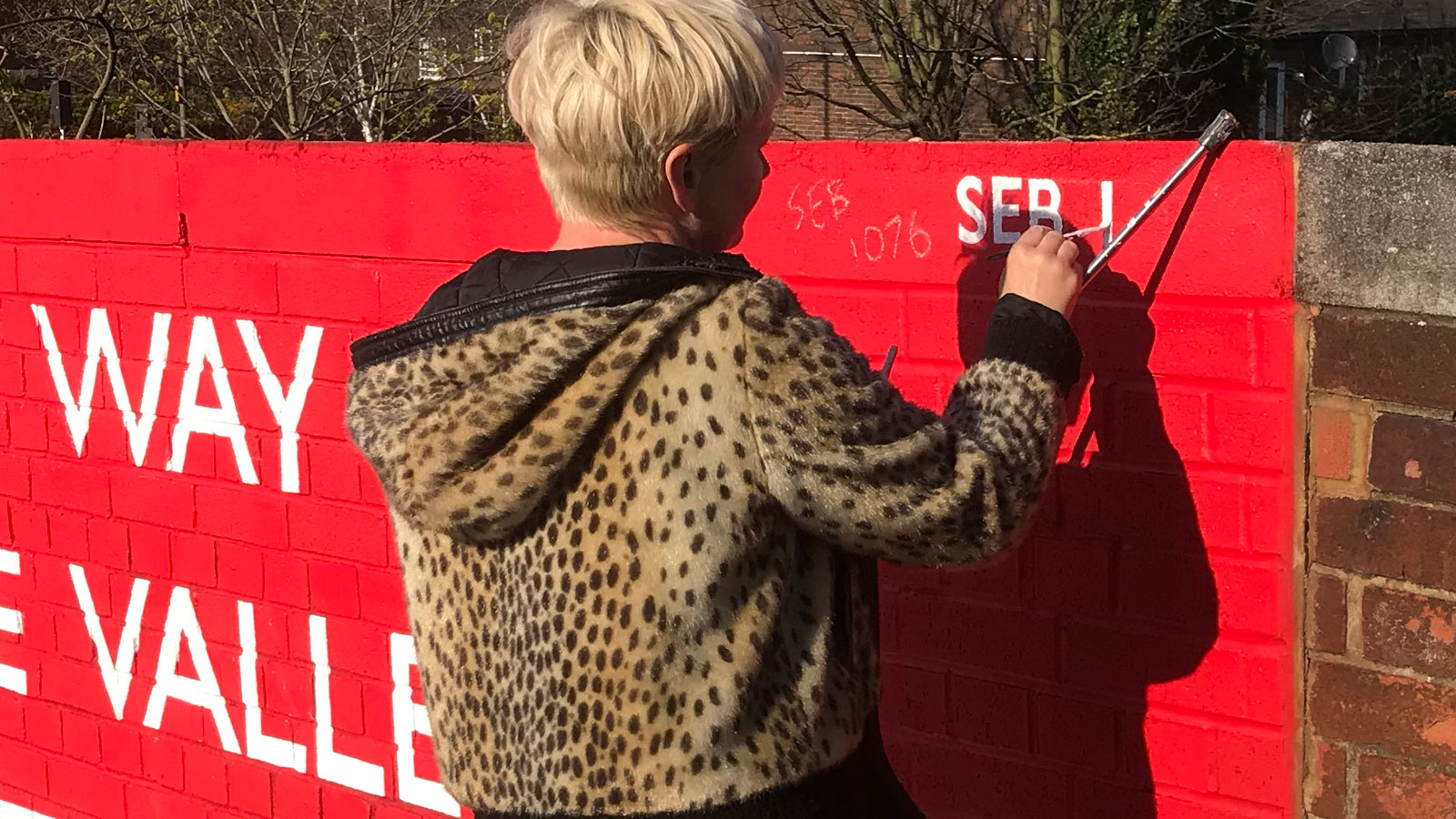 Charlton station mural celebrates 100 years of The Valley – The ...