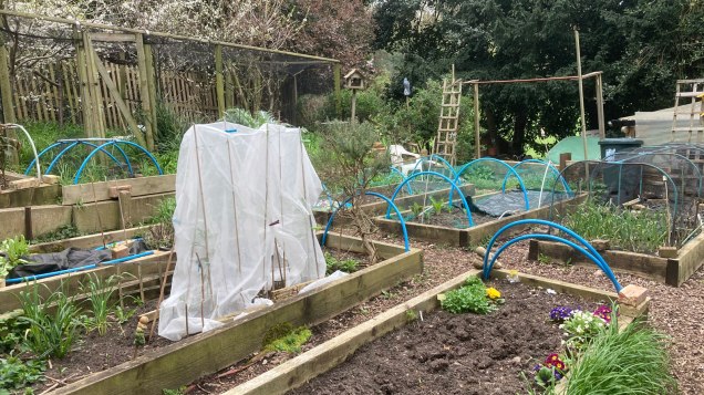 Maryon Park community garden