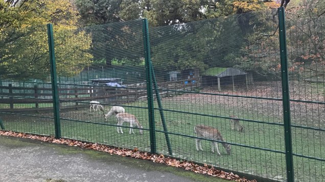 Maryon Wilson animal park
