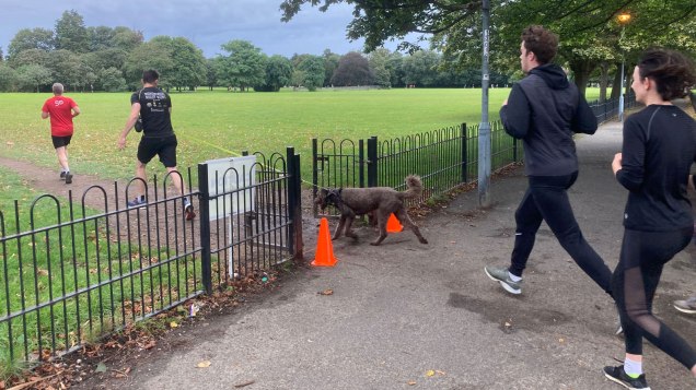 Charlton parkrun runners