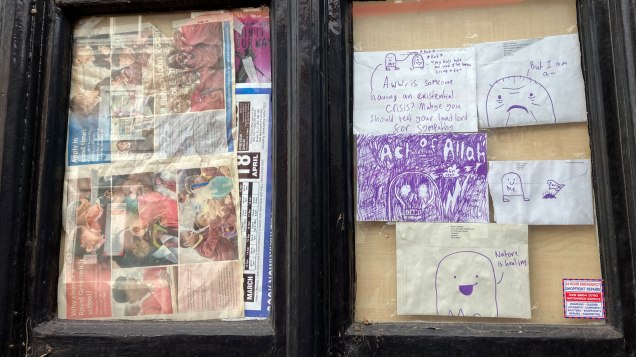 Papered-over White Swan