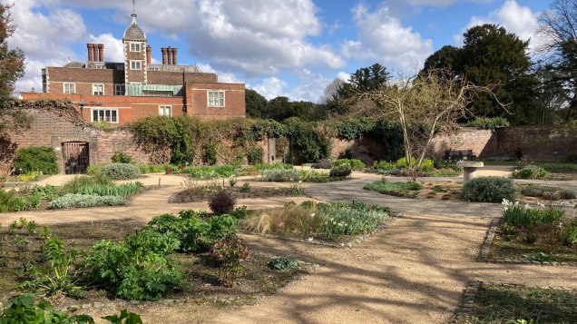 Old Pond Garden this month