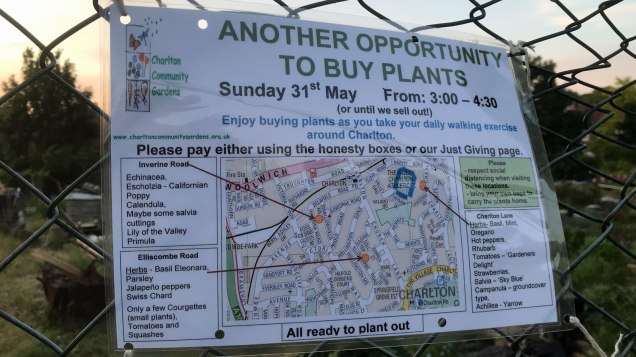 Plant sale ads